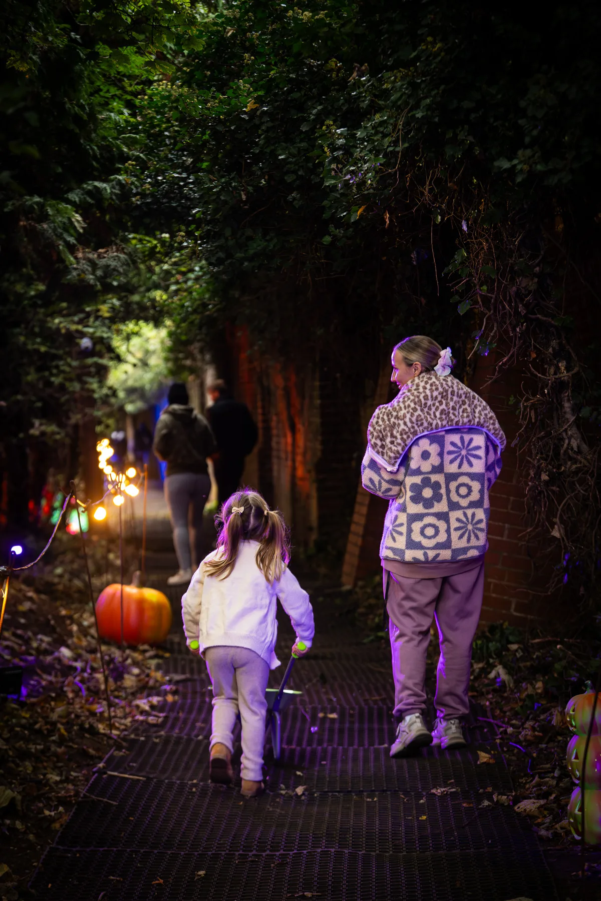 A family walking through the illuminated woodland pumpkin trail